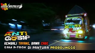 ANTI GOSIP!! Bawa cabe menggila dijalur pantura probolinggo