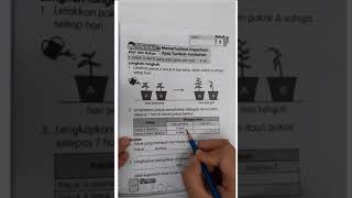 Memerhatikan keperluan asas tumbuhan