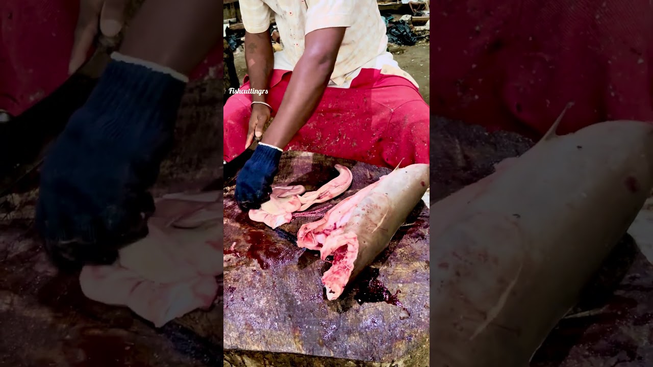 Видео разделки рыбы Сура/fishcuttingrs