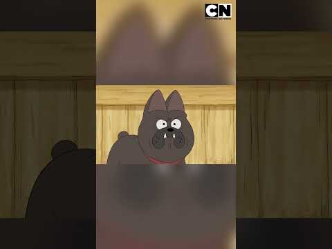 Chloe en peligro por un perro | Escandalosos