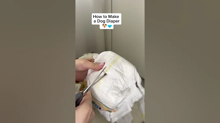 How to Make a Dog Diaper in 34 Seconds! ⏳🐶
