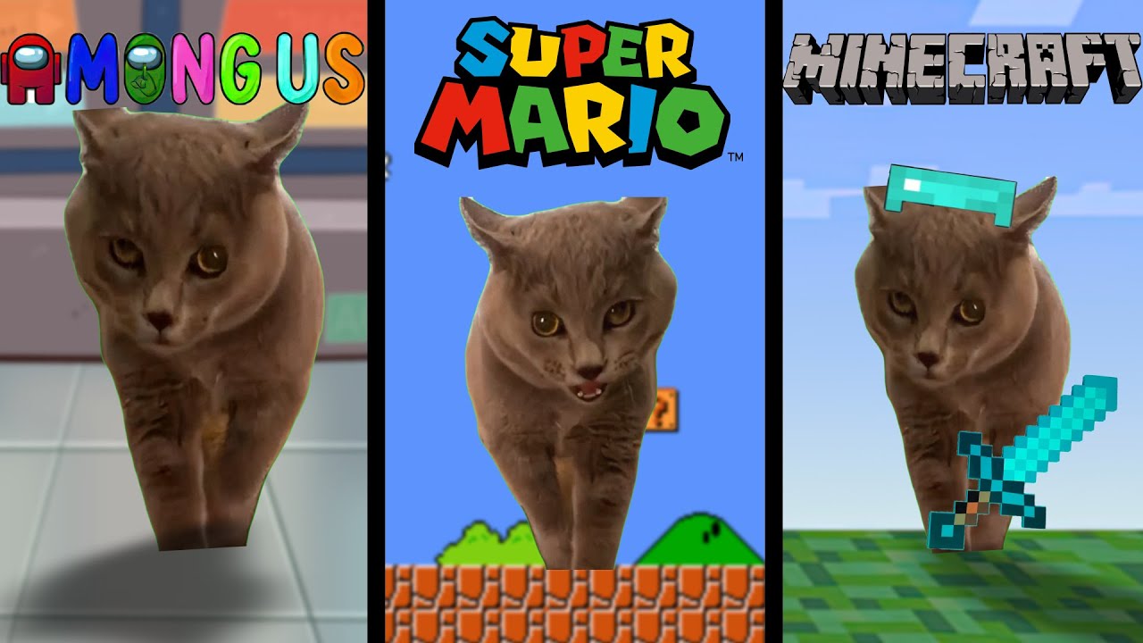 Alugalug Cat in famous places YouTube