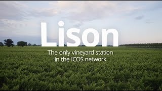 #ExploreICOS: Prosecco with a Purpose – the potential of vineyards as carbon sinks