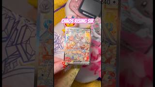 CINCCINO SIR! 💕 AND FULL ART! CHAOS RISING IS AN AMAZING SET! Have you pulled your chase? #pokemon