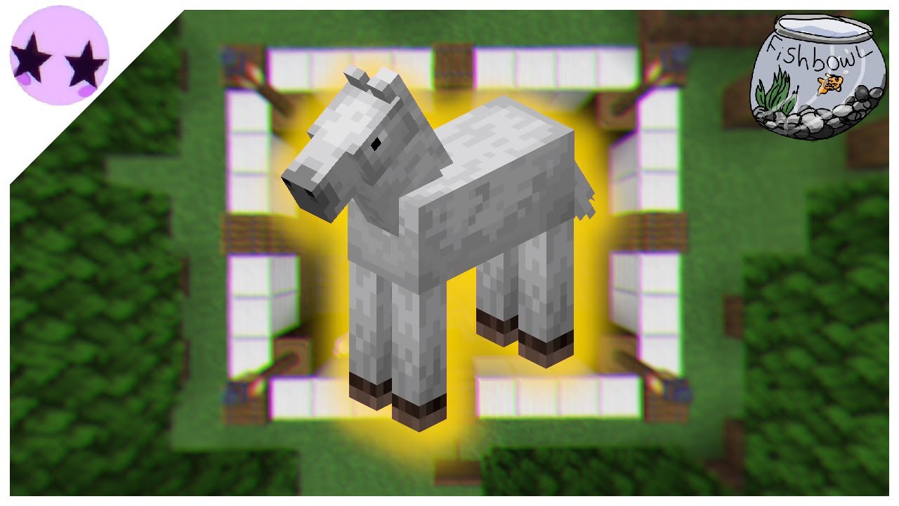 Fishbowl SMP: The Best Horse In Minecraft