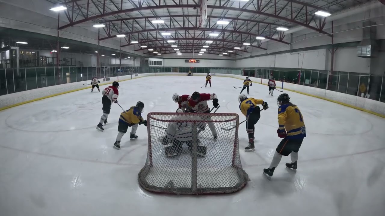 Sparkle Donkeys vs Honey Badgers