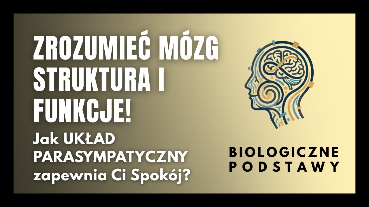 #28 Zrozumieć mózg - struktura i funkcje