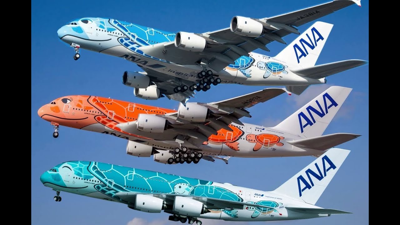 The Best A380 Livery - ANA A380 Fleet - All 3 flying Turtles! - YouTube