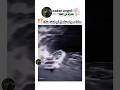 مهما هربت بالأخير تبلعك بحر  1