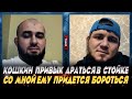 Али Багов - отличался ли спарринг с Абдулаевым от их боя? / Сумеет ли переводить Кошкина в партер?