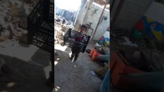 VID 20161117 WA0010