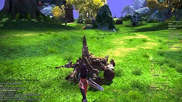 TERA - High Elf Slayer Gameplay - Basic Combat and Skill Chain [HD][3D]