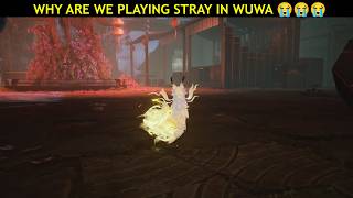 Bro... Why are we playing Stray in Wuthering Waves? 😭😭😭