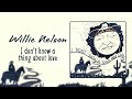 Willie Nelson, I Don't Know A Thing About Love,  Album OUT NOW!