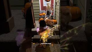 Corgi Protec lil hooman from spooky #halloween