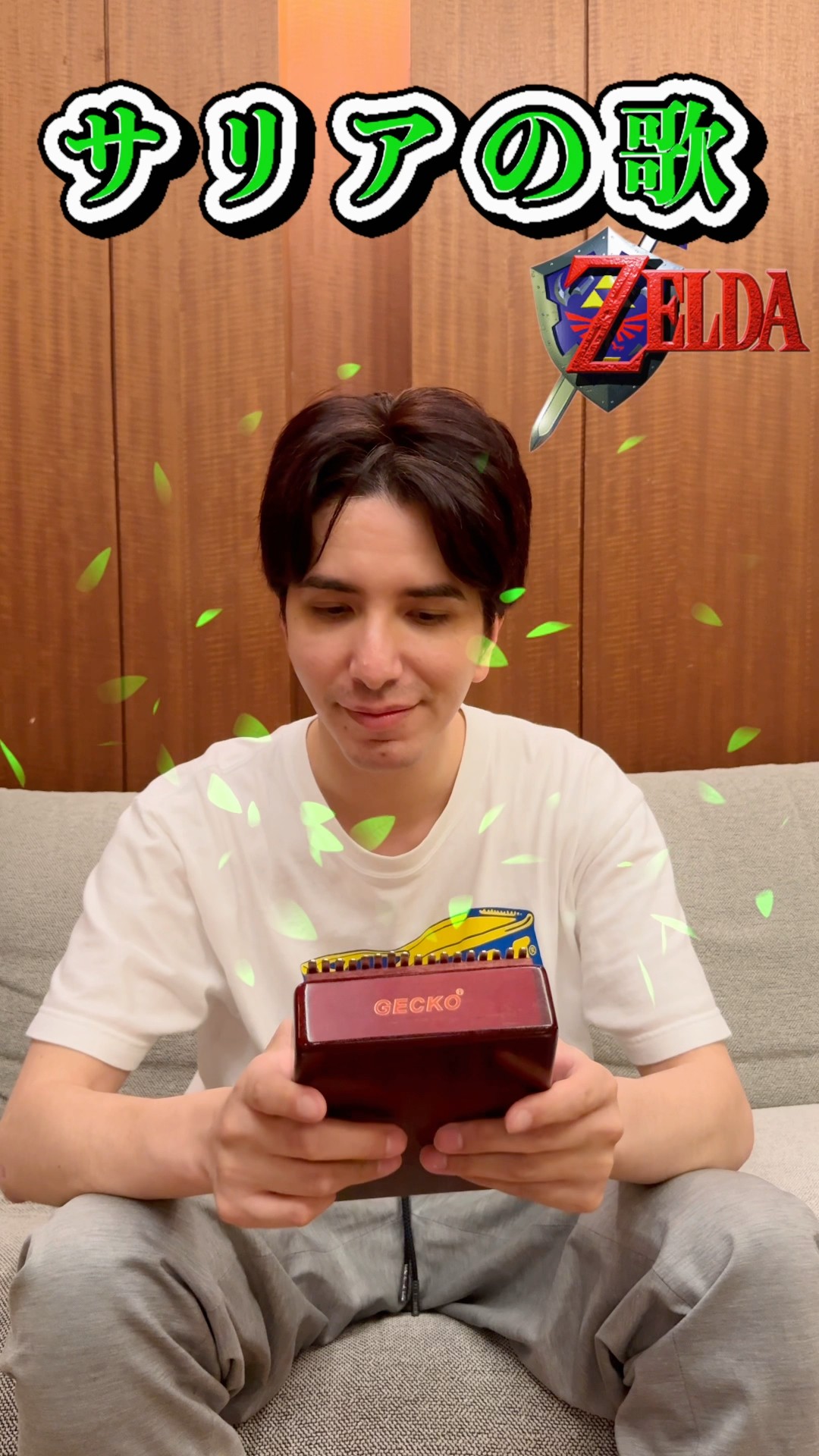 The Legend of Zelda] What if I played it on a kalimba? #Kalimba