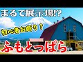 【ふもとっぱら】富士山ドーンの憧れのキャンプ場に行ってみたら、まるで展示場だった件[静岡県富士宮市]