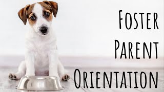 Foster Parent Orientation