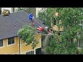 Idiots With Chainsaws: Tree Cutting Fails | Extreme Dangerous Logging Truck Fails #38