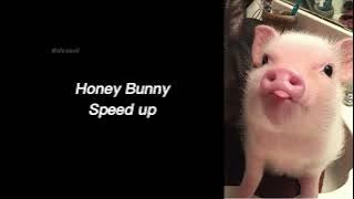 Download lagu Honey Bunny | Speed up | 'la lalala lalalalala lalala'