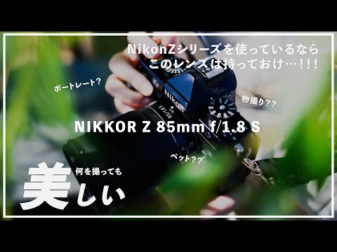 ❁美品❁NIKON AF-S 85mm F1.8G ニコン ポートレートレンズ Nikon AF-S NIKKOR 85mm f/1.8G 実写レビュー