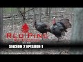 Brian and brad turkey hunt  red pine outdoors  s02e01