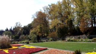 A Drive Through the Biltmore Estate in Mid - October