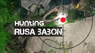 Berburu rusa terbaru (hunting big deer)