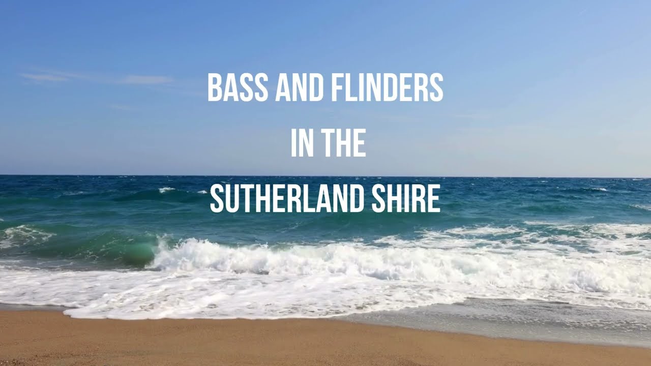 Bass and Flinders in the Sutherland Shire