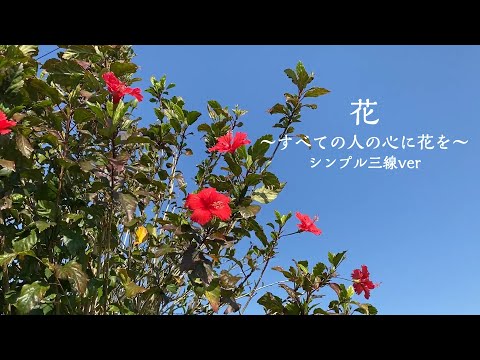 【三線bgm】花 〜すべての人の心に花を〜/  喜納昌吉 /三線のみ1番/ 沖縄民謡