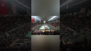 Bursaspor Basketbol & Anadolu Efes