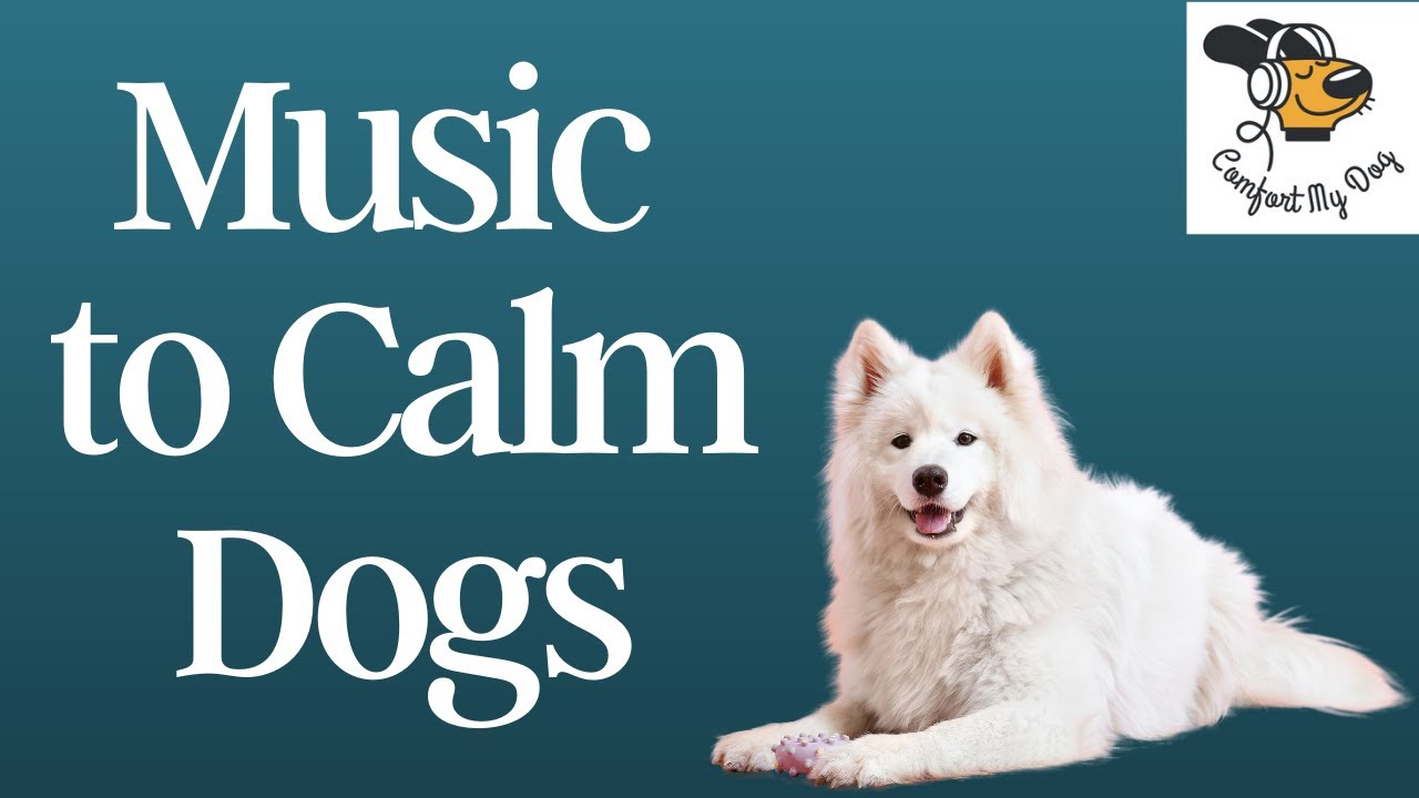 INSTANT Dog Relaxation Music. Stress Relief Music For Dog. Dog Music to Calm Them Down. YouTube