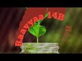 Raayyaa Abbaa Maccaa 14B Raayyaa Abbaa Maccaa 14B