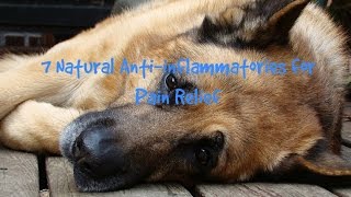 7 Natural Antiinflammatories For Pain Relief
