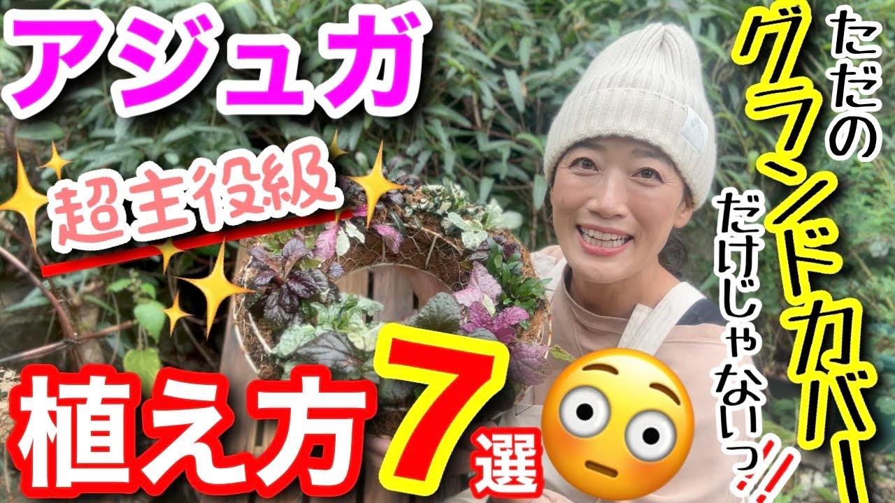【アジュガの植え方7選】グランドカバーだけじゃないアジュガの活用法が凄すぎる✨ランナーを使った空間植栽って知ってる？/ 並べただけなのにプロ級のリースも出来ちゃう🤗超人気宿根草【ガーデニング】