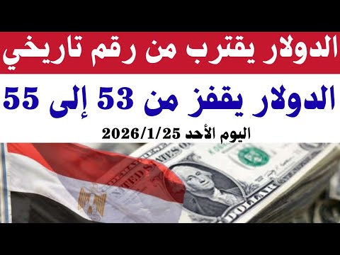 سعر الدولاراليوم الأحد 2026 1 25 أسعار الدولاروالعملات اليوم فى مصر