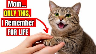 20 Things Cat Owners Rarely Do — But Cats Remember for Life