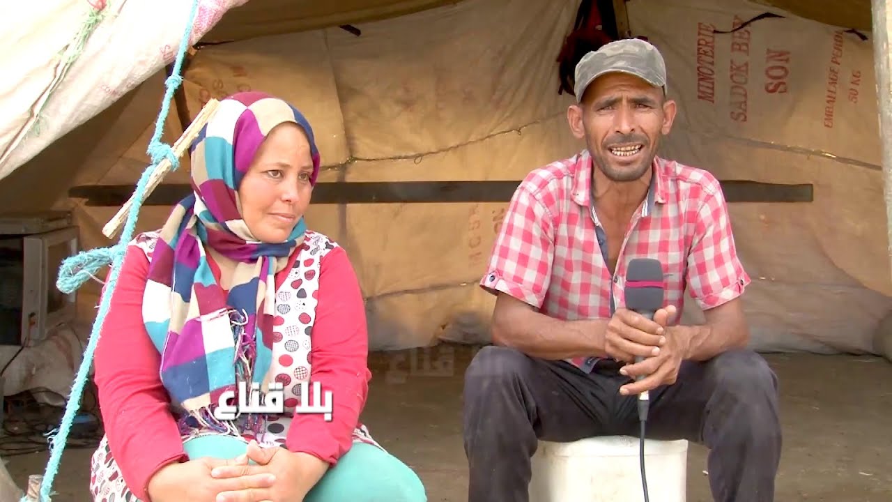 bila kinaa | قيس وليلى قصة حب يرويها الناس بين راعي غنم وفتاة تتوج بالزواج وعشر سنوات تحت الخيمة