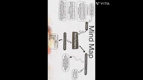 MindMap of Real Numbers for class10 CBSE #shorts #mindmap #class10 #cbse #maths #realnumbers