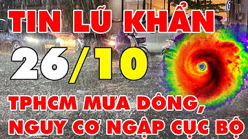 🔴[Trực Tiếp]TIN LŨ LỤT MỚI NHẤT: TPHCM tiếp tục mưa dông, nguy cơ ngập cục bộ tại khu vực trũng thấp