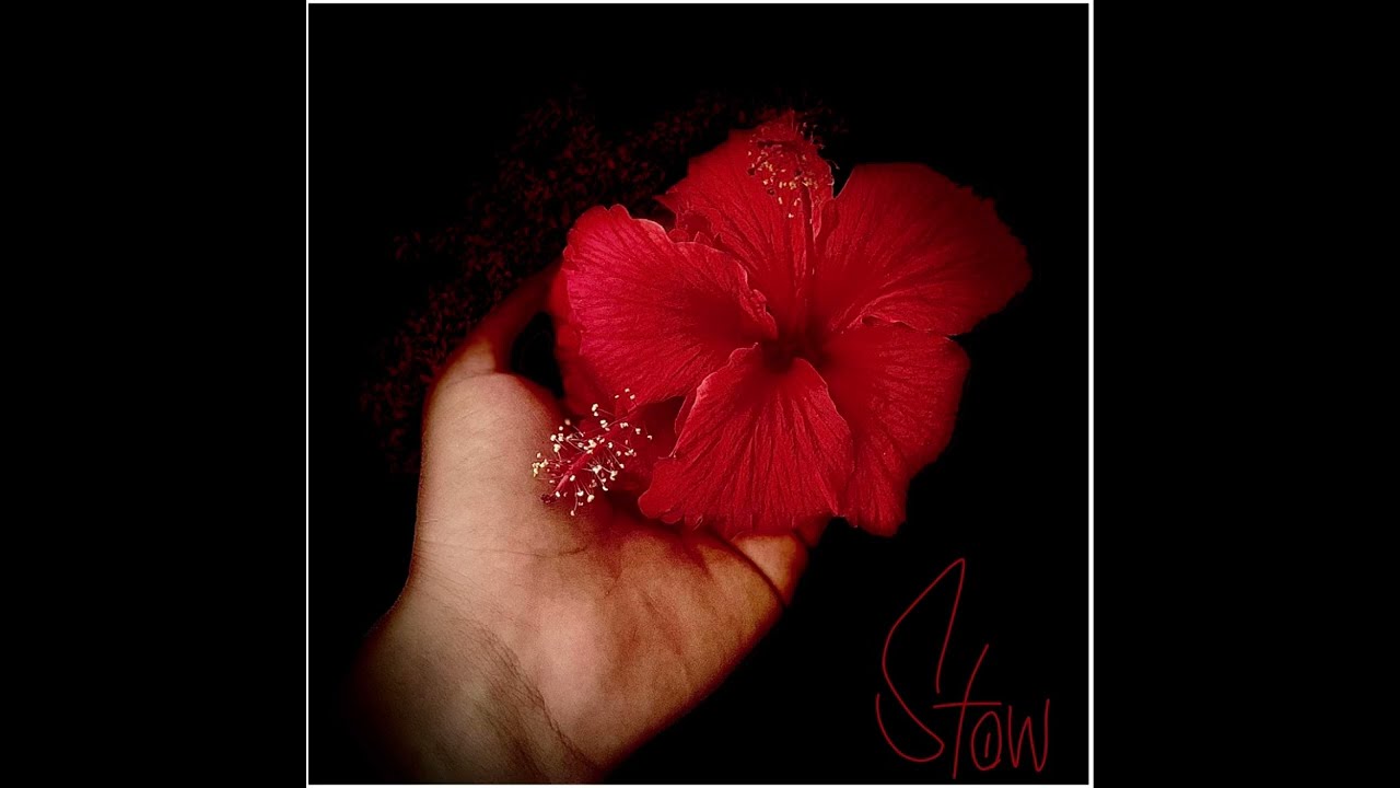 Watch Red Powder on YouTube Watch Red Powder on YouTube