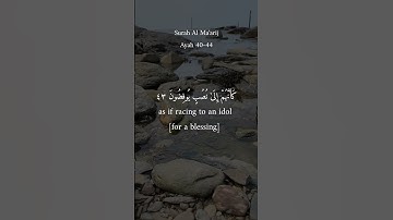 الشيخ ماهر المعيقلي | سورة المعارج #القاريء #القران