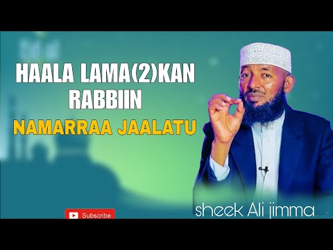 Sh Ali Jimma Haala Lama 2 Kan Rabbiin Jaalatu 24 November 2025
