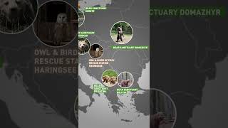 Around The World With Four Paws On World Tourism Day Four Paws