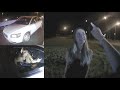 Karina Armando's Sister PASSES Field Sobriety Test after Driving the WRONG-WAY