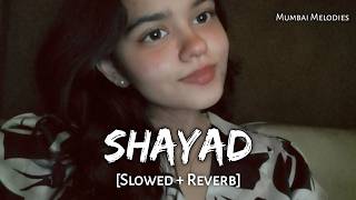 Shayad -  Lofi  (Slowed   Reverb) | Arijit Singh | Mumbai Melodies