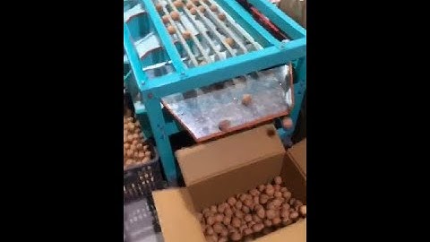 Hello River Brand Fruit Grading Machine Dates Tomato Apple Lemon Kiwi Organges Sorting Machine