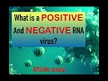 What does it mean by Positive and Negative Sense RNA virus?