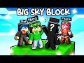 MI SONO SEGRETAMENTE ALLEATO CON... - MINECRAFT BIG SKYBLOCK