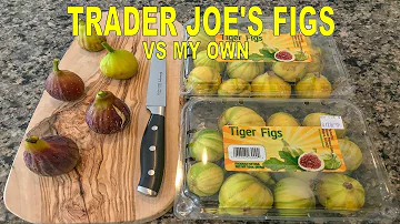 Trader Joe's Tiger Fig Tasting (Panache) vs I-258, Col de Dame Noir, Lattarula, Smith, MBVS